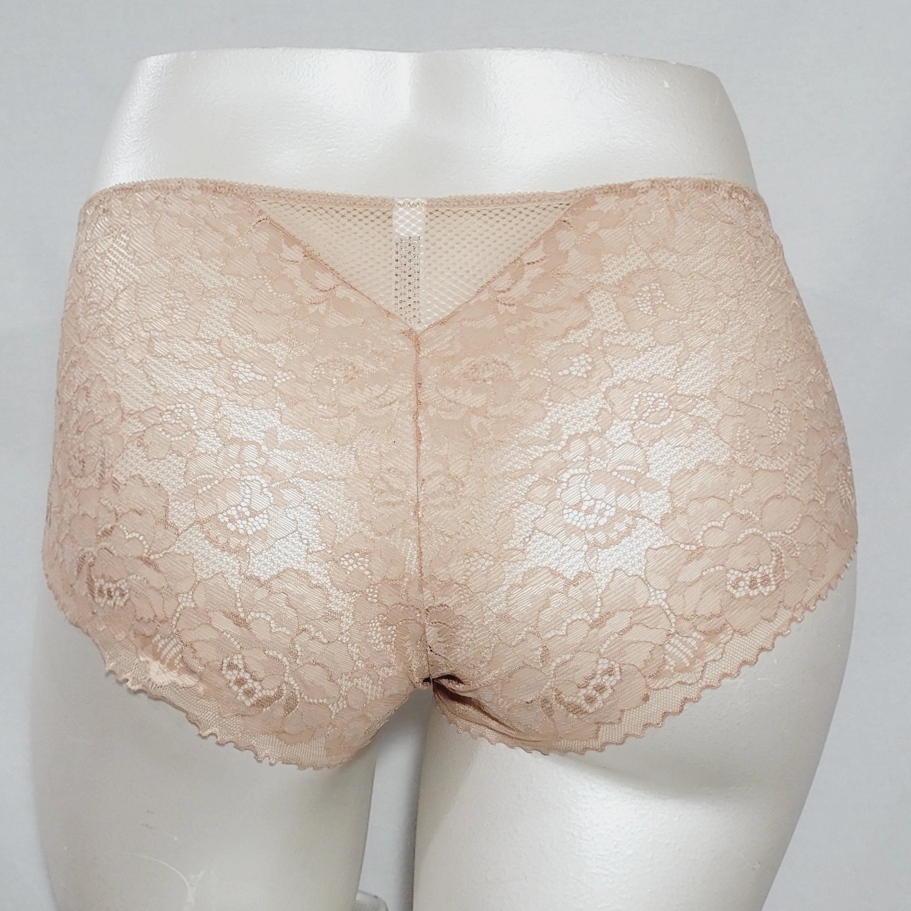 Ava & Viv Plus Size Semi Sheer Lace Hipster 3X Honey Beige