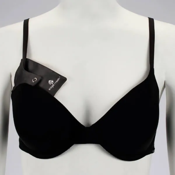 Eagle Creek Silk Undercover Bra Stash