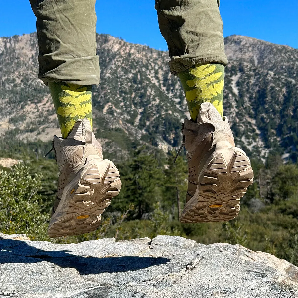 Fern Crew Socks