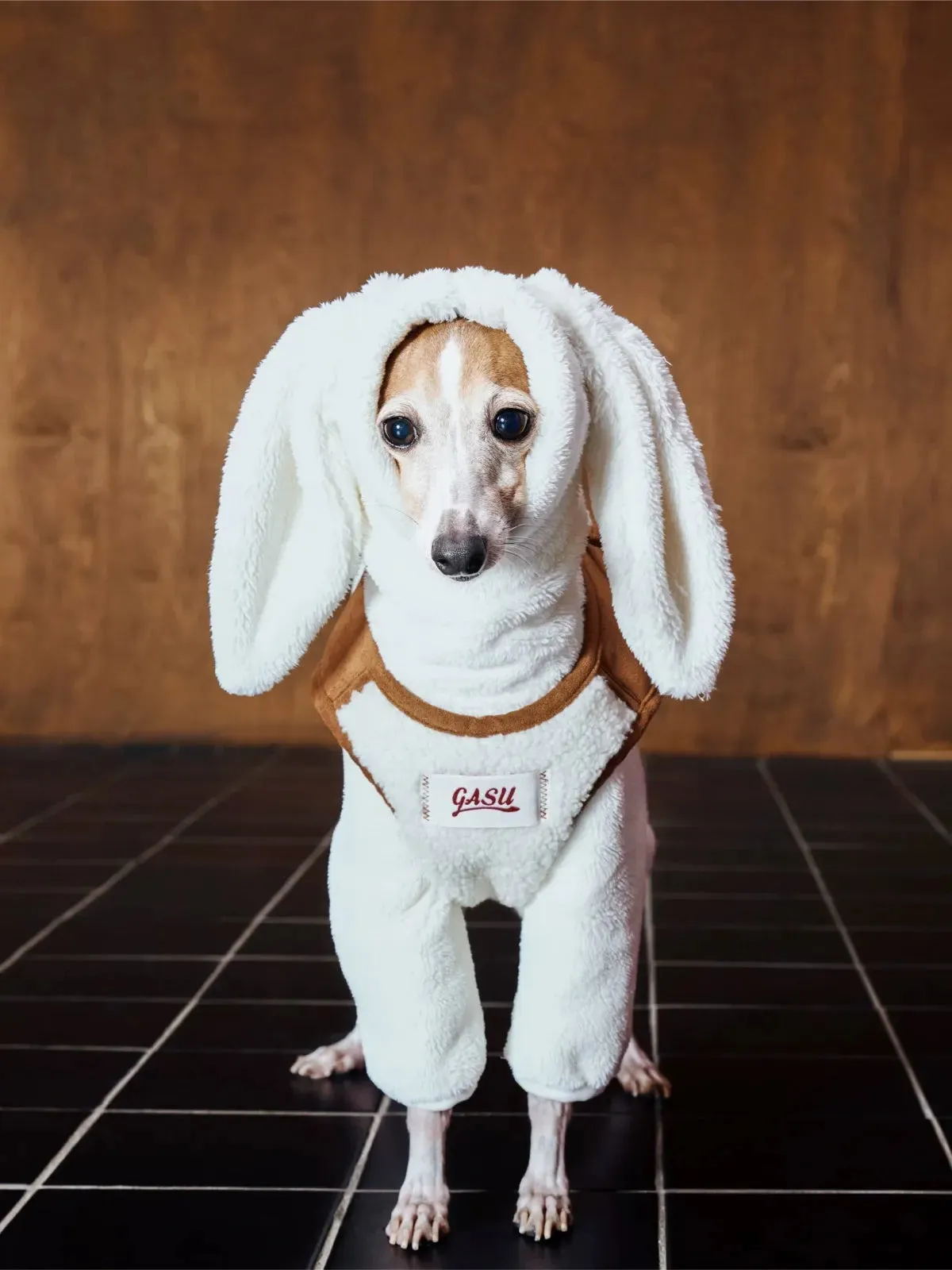 Ultra-Warm 4-Leg Fleece Jumpsuit with Detachable Bunny Ears