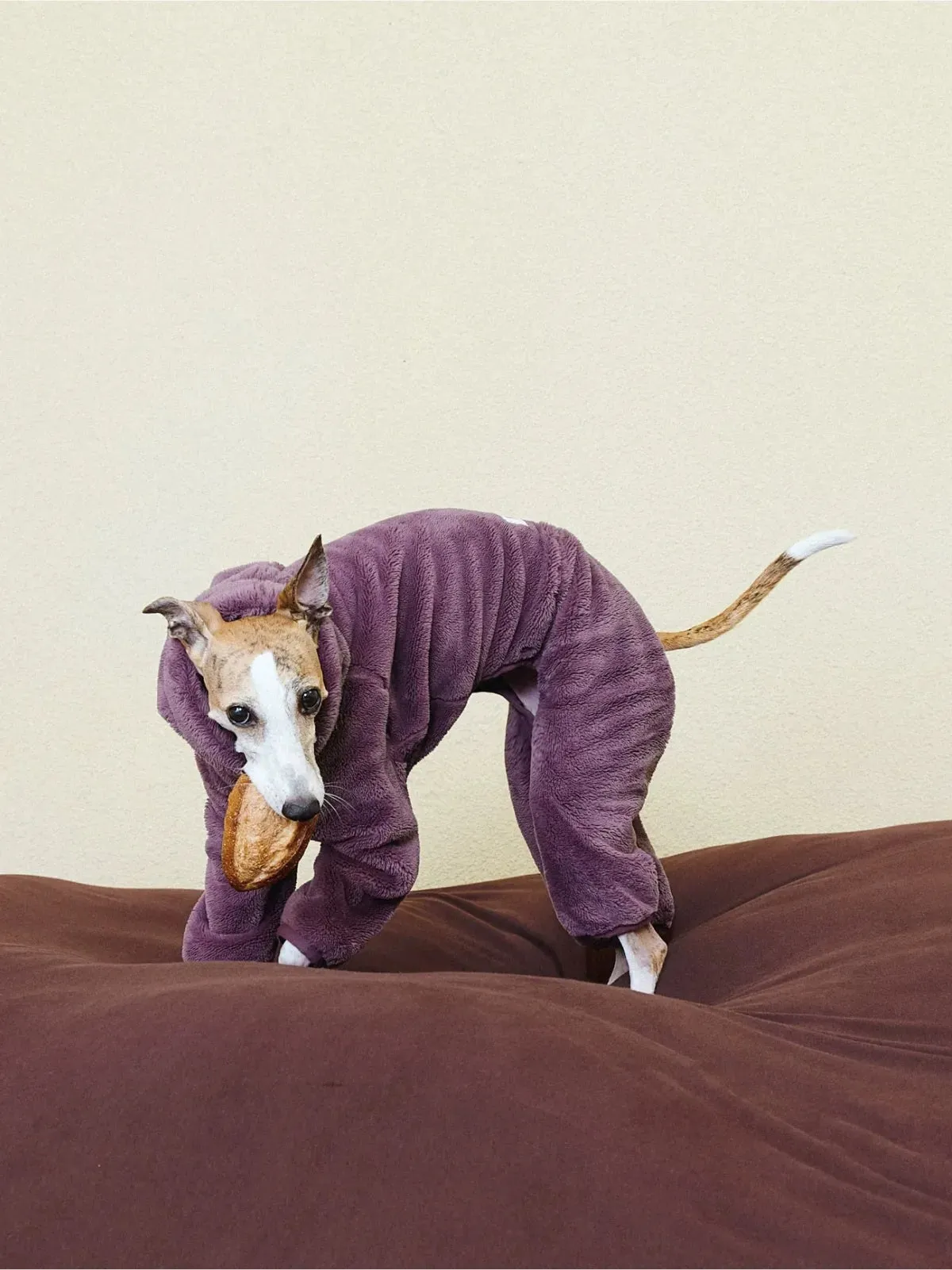 Ultra-Warm 4-Leg Fleece Jumpsuit with Detachable Bunny Ears